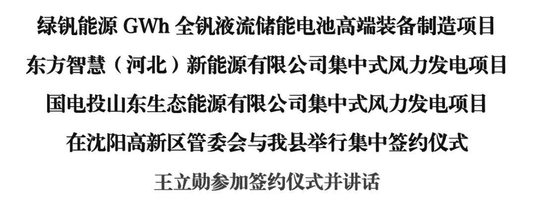 绿钒能源等新能源项目与我县举行集中签约仪式